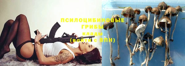 PSILOCYBIN Нягань