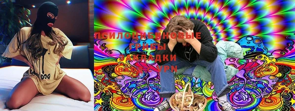 героин Новодвинск