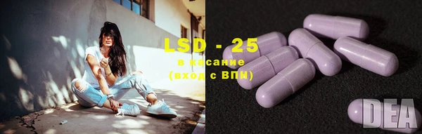 PSILOCYBIN Нягань