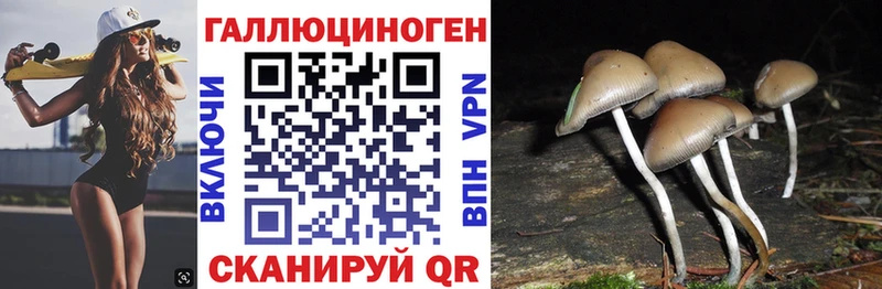 hydra рабочий сайт  Ревда  Галлюциногенные грибы мицелий 