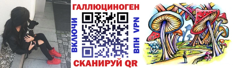 Галлюциногенные грибы мицелий Ревда