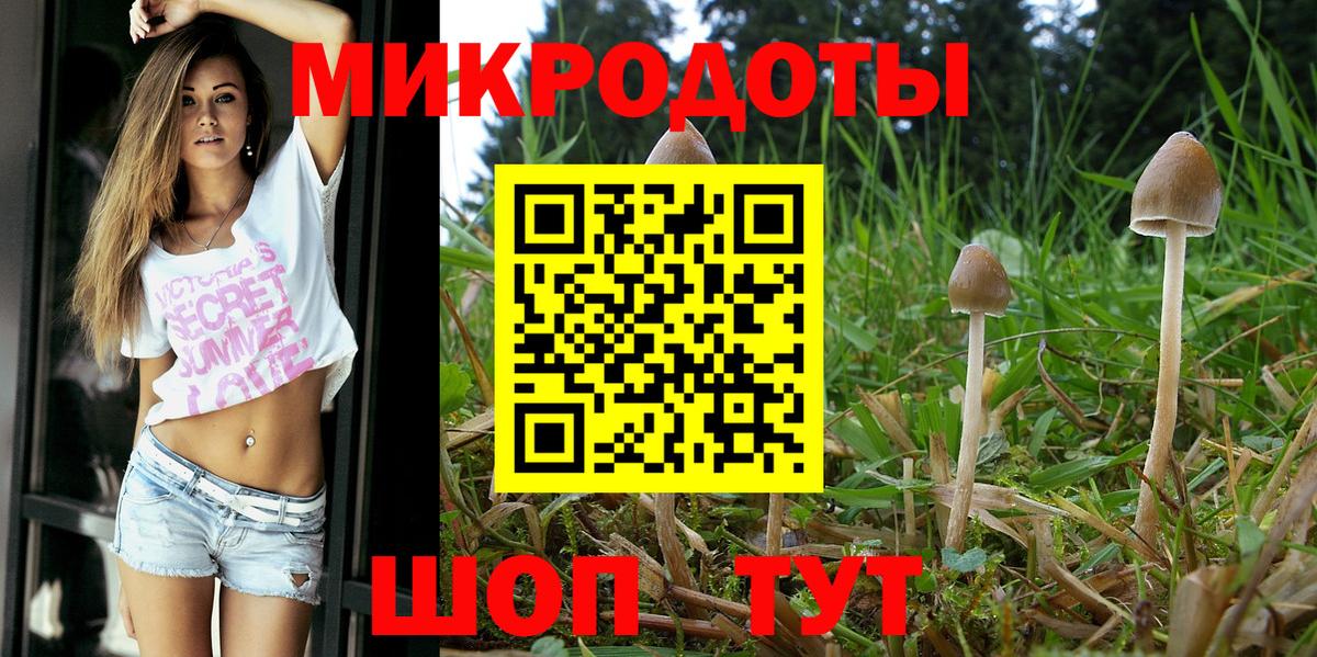 Галлюциногенные грибы прущие грибы  Вход с VPN  Ревда 