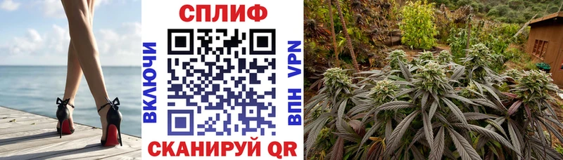blacksprut маркетплейс  Ревда  МАРИХУАНА планчик 